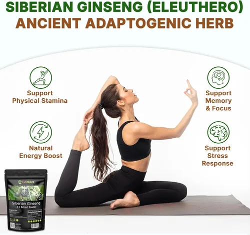 Miniatura 3 de Go Nutra Ginseng siberiano - Polvo de raíz de Eleuthero Extracto 4:1 4 veces más fuerte Apoya la energía y la resistencia Natural