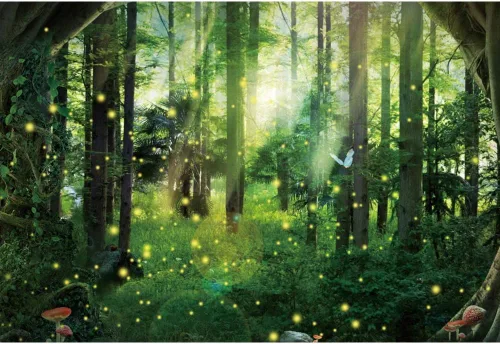 Telón de fondo de fotografía de bosque de fantasía mágica, selva, safari, fiesta, fondo de fiesta, luz del sol, primavera, árbol verde, mariposa,