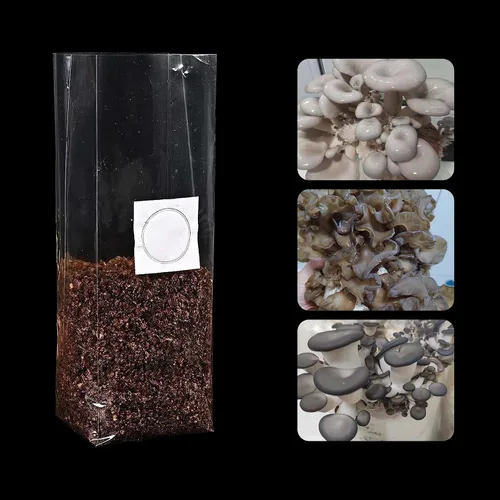 Miniatura 5 de Bolsas de cultivo de hongos R con filtro de 0.5 micrones de polipropileno de 3 mil para sustrato autoclave cultivo de hongos 8 x 5 x 19 pulgadas, 30