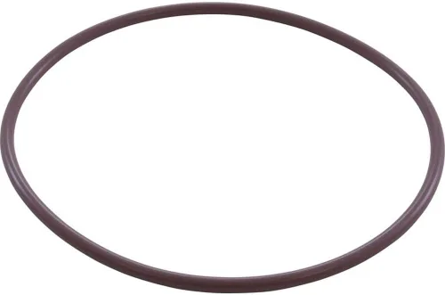 Pentair R172223 Reemplazo de junta tórica de vivienda Filtro de piscina/spa y trampas de hojas