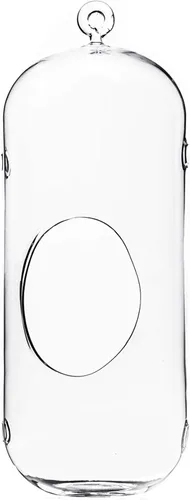 WGV - Terrario de cristal colgante para plantas, 5 pulgadas de ancho, 13 pulgadas de alto, farol de aire para suculentas, luz de té transparente,