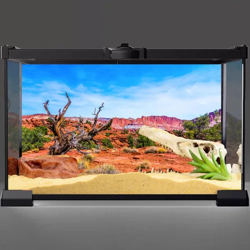 Miniatura 2 de AWERT 24x12 pulgadas Reptil Hábitat Fondo Cielo Azul Oasis Naranja Desierto Terrario Fondo