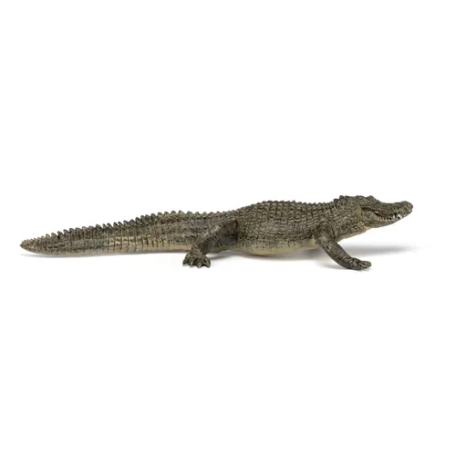 Miniatura 3 de Papo - Figura realista de cocodrilo - A partir de 3 años - Colección Wild Life - Reptiles educativos de pantano - Juguete de idea de regalo