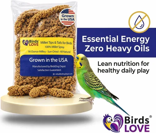 Miniatura 5 de Birds LOVE Puntas y Colas de Mijo para Aves - Periquitos, Cacatúas, Periquitos, Pinzones, Cotorras, Canarios, Cacatúas - Mijo Natural y Saludable