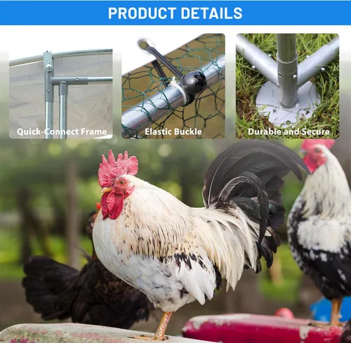 Miniatura 5 de NUGRIART Gallinero grande de metal, jaula de exterior con cubierta impermeable y anti-UV, jaula de aves de corral con techo abovedado para entrar