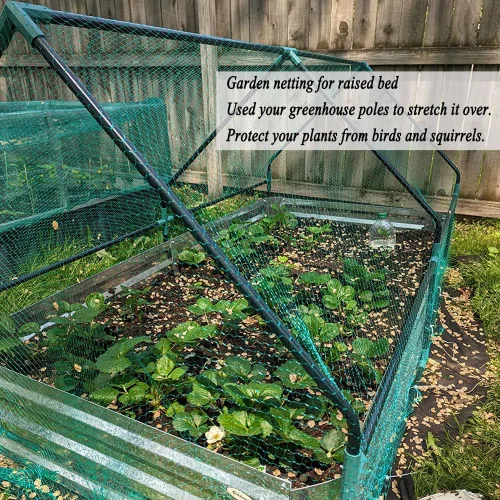 Miniatura 3 de Red para pájaros para jardín de 6.5 x 50 pies, malla de 1/4 de pulgada, protege arándanos, fresas, tomates, verduras. Red de árboles frutales