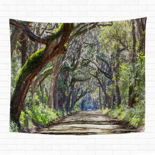 Topyee Tapiz de 50 x 60 pulgadas para colgar en la pared, perspectiva verde, árboles, túnel, bahía botánica, Carolina del Sur, camino para el hogar,