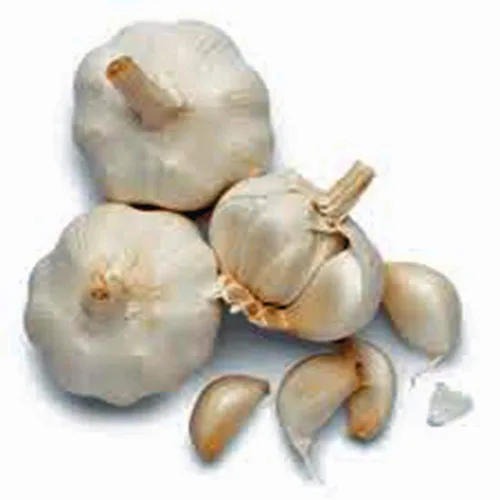 Miniatura 2 de Bulbo de ajo (paquete de 8), bombilla de ajo fresca de California SOFTNECK para plantar y cultivar tu propio ajo