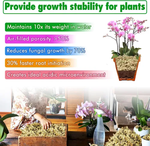 Miniatura 4 de ZeeDix Musgo Sphagnum de 4 cuartos para plantas de interior, musgo de fibra larga seca natural para trasplante de orquídeas, plantas carnívoras