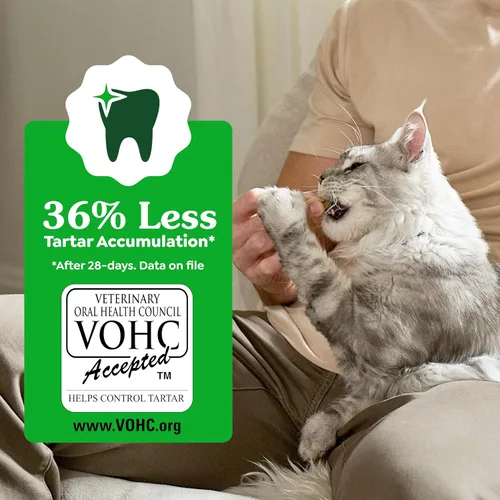 Miniatura 7 de Greenies Golosinas dentales naturales para gatos adultos recomendadas por veterinarios felinos, sabor hierba gatera, bolsa de 2.1 onzas