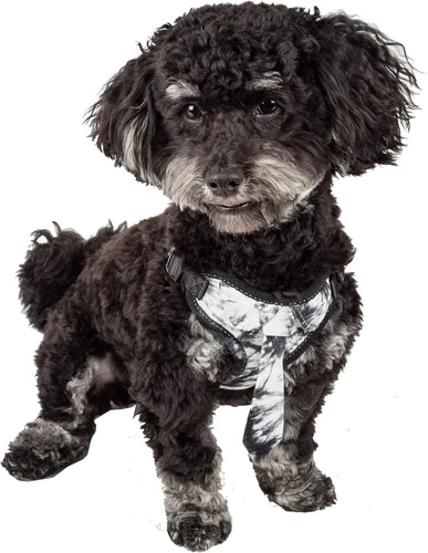 Miniatura 3 de Pet Life ® 'Bonatied' Arnés de malla reversible y transpirable de micromalla ajustable para perro y pajarita