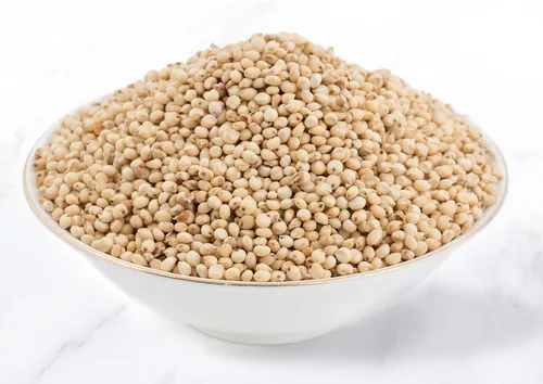 Miniatura 5 de Food to Live Sorgo de grano entero orgánico sin gluten, 1 libra - Granos blancos sin transgénicos. Semillas milo. Vegano, Escoba de maíz a granel.