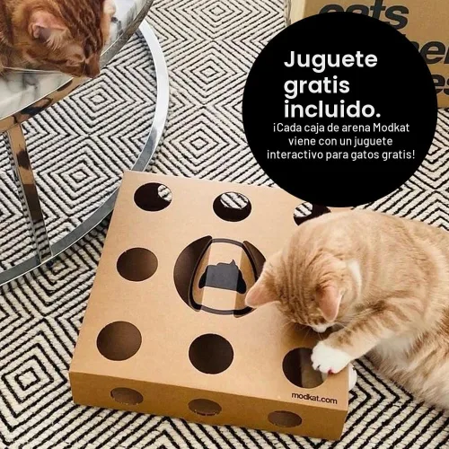 Miniatura 6 de Modkat® Caja de arena abatible, entrada frontal, base sin costuras de altura completa, forro de arena reutilizable, cuchara de arena para tamizar, 2