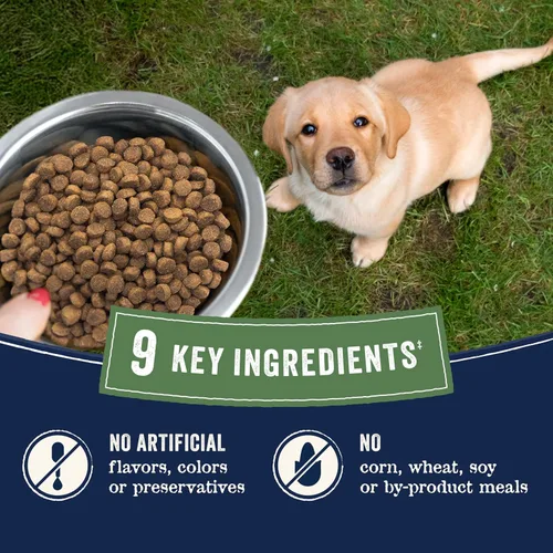 Miniatura 6 de Canidae Pure - Comida seca premium para cachorros con ingredientes limitados, receta de salmón real y avena, 22 libras, con granos sanos