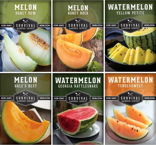 Variedad de semillas de melón – 6 semillas autóctonas de melón cantalupo, melón y sandía para plantar – con Honey Rock, Hale’s Best, Tendersweet,