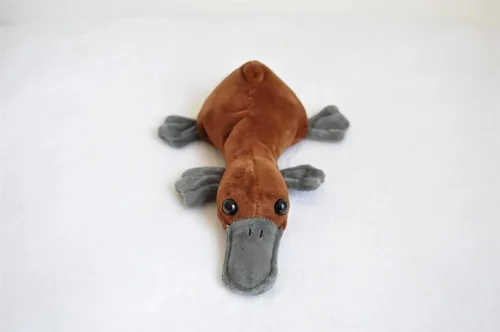 Miniatura 3 de TAMMYFLYFLY Almohada de felpa suave de ornitorrinco realista de 8.6 pulgadas, Kawaii para niñas y niños, juguetes de animales de peluche con pico