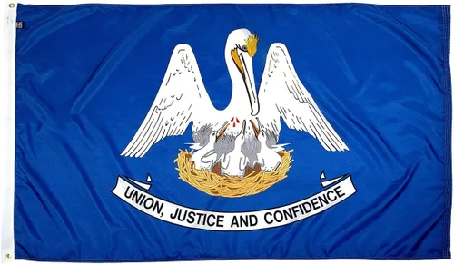 Miniatura 52 de FlagSource Bandera del estado de nailon de Iowa, fabricada en los Estados Unidos, 4 x 6 pies Iowa 4x6