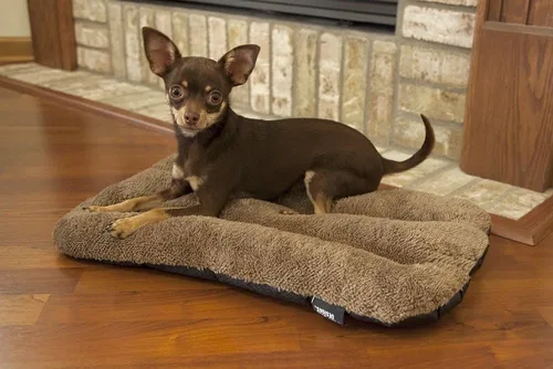 Miniatura 2 de SportPet Designs - Cama impermeable para mascotas, se adapta a la perrera de plástico SportPet para perros, 20 pulgadas