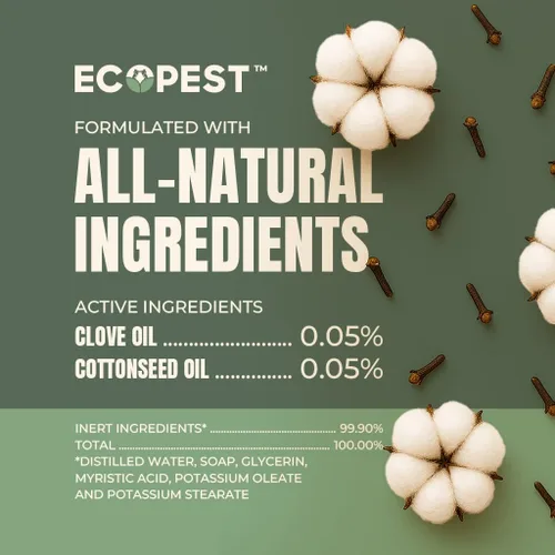 Miniatura 5 de Aerosol para chinches de cama – Natural, a base de plantas, eliminador de chinches de cama, huevos y ninfas Tratamiento doméstico seguro