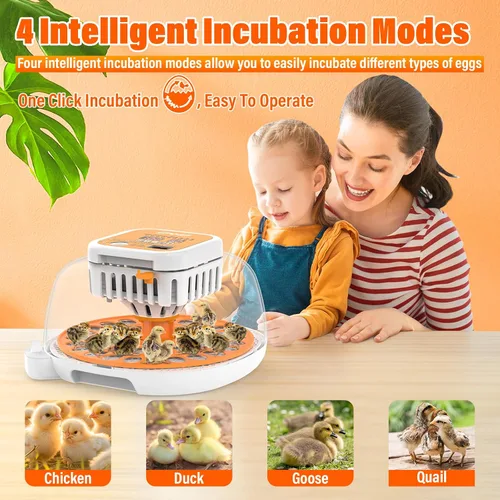 Miniatura 5 de 36 incubadoras de codorniz para incubar huevos, incubadora de huevos de codorniz con giro automático de huevos y control de humedad, control