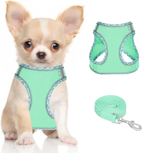 Miniatura 12 de Arnés para perro para perros pequeños y medianos sin tirones, ajustable para cachorros, arnés de malla transpirable reflectante para mascotas