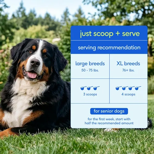 Miniatura 8 de Native Pet Vitaminas y suplementos diarios para perros mayores – Polvo multivitamínico 12 en 1 para perros mayores – Apoya la movilidad