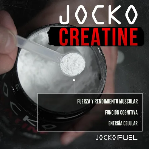 Miniatura 3 de Jocko Fuel Monohidrato de creatina, polvo micronizado puro para hombres y mujeres, apoya el crecimiento muscular, la fuerza, la recuperación