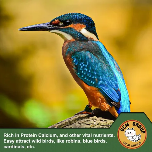 Miniatura 5 de UCM Group - Gusanos de harina secos de 5 libras para aves silvestres, pollos, alimento orgánico para pollos con alto contenido de proteínas, 100%