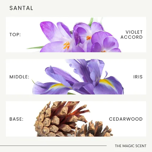 Miniatura 6 de Aceite Difusor Santal de The Magic Scent - Fragancia - Frío y Ultrasónico - Aceite Esencial de Sándalo - Aceites Difusores de Aromas para el Hogar