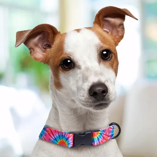 Miniatura 5 de Tie Dye Dog Collar Personalized (X-Small 5/8")