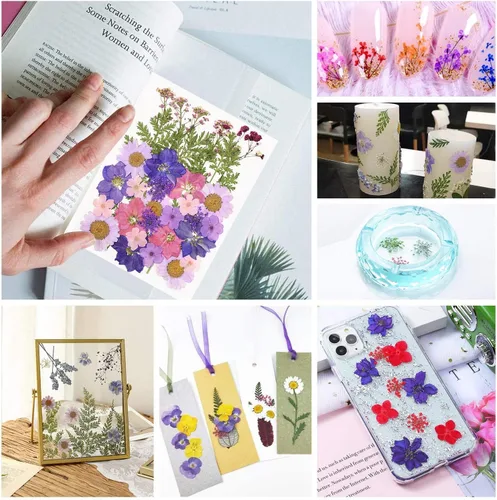 Miniatura 5 de Tovip 71 piezas de flores y hojas secas prensadas reales, mezcla de flores secas naturales prensadas, flores secas naturales preservadas