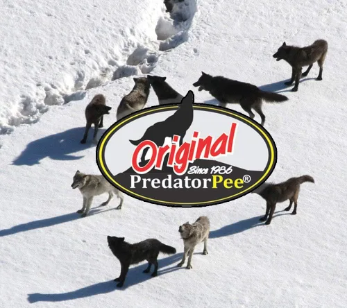 Miniatura 2 de PredatorPee Orina de lobo 100% - Aroma de marcado territorial - Crea ilusión de que el lobo está cerca