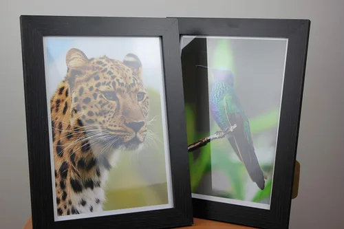 Miniatura 7 de PPD Papel fotográfico brillante para impresora de inyección de tinta, hojas imprimibles de alta calidad de 8.5 x 11 pulgadas para imagen