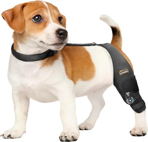 CHAMIN Rodillera ajustable para perro para pierna trasera desgarrada del ligamento cruzado anterior, soporte para ligamento lagrimal, osteoartritis,