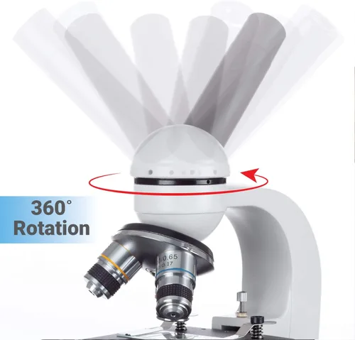 Microscopio compuesto LED para estudiantes con lente óptica de vidrio y bastidor de metal AmScope M150C-E-A 40X-1000X con foco grueso y fino +