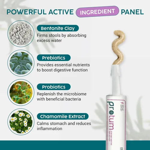 Miniatura 4 de Protum - Pasta probiótica para perros, fórmula prebiótica avanzada de 1.0 fl oz para apoyo digestivo, sabroso sabor a maní para la salud intestinal