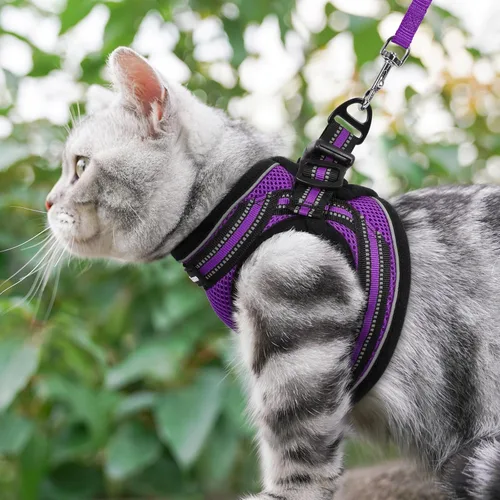 Miniatura 9 de rabbitgoo Juego de arnés y correa para gatos para caminar, a prueba de escapes, chaleco suave ajustable para gatitos con tira reflectante