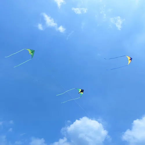 Miniatura 6 de Large Rainbow Delta Kite for Kids & Adults,Single Line Beach Kite for Kids Ages 4-8 & 8-12,Easy to Fly for Toddlers and Beginners