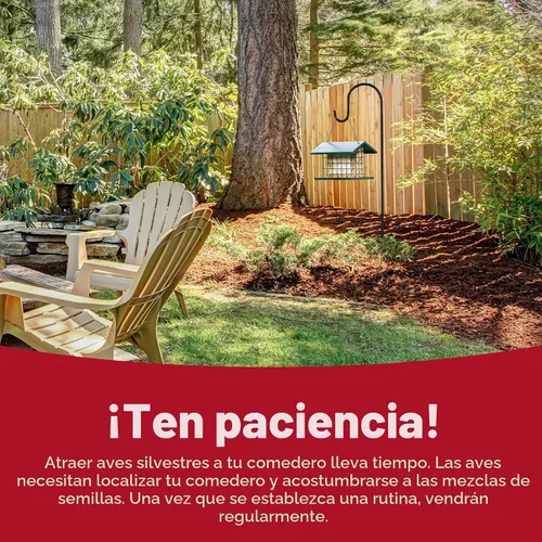 Miniatura 16 de Kaytee Alimento en forma de pastel de semillas para aves silvestres y gusanos de harina para azulejos, carboneros, pájaros carpinteros y más, 1.4