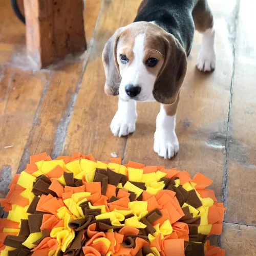 Miniatura 7 de LIVEKEY Alfombrilla de Olfato para Perros, Alfombrilla de Alimentación para Perros, Alfombrillas de Entrenamiento de Nariz para Instinto de Forrajeo