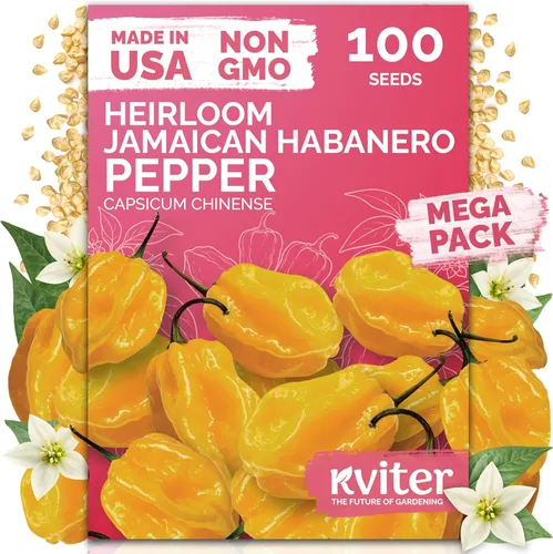 Miniatura 24 de KVITER 3100 semillas de zanahoria tiernas para plantar (Daucus carota) - Semillas de vegetales sin OMG para jardín al aire libre - Zanahorias dulces
