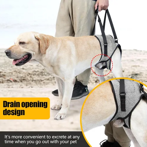 Miniatura 4 de Soporte para patas traseras para perros, cabestrillo para patas traseras, para razas medianas a grandes, perros mayores, mascotas lesionadas