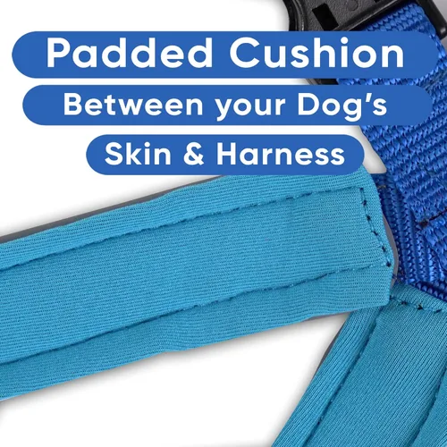 Miniatura 4 de Arnés para perro Pawtitas para entrenamiento de suave, ajustable, reflectante, acolchado para cachorros, Azul