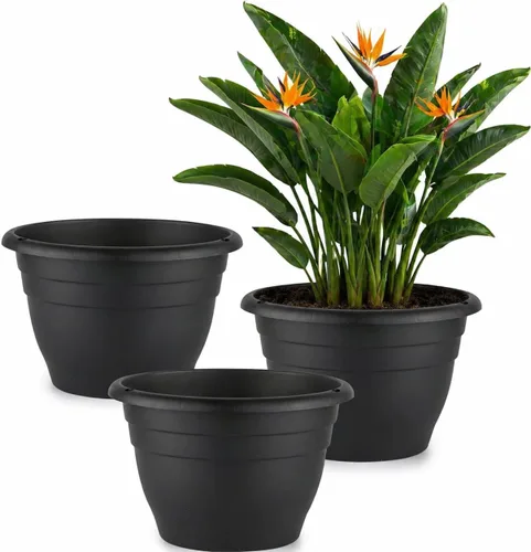 Miniatura 25 de RooTrimmer Juego de 10 macetas de 8 pulgadas con agujeros de drenaje y platillos, macetas para plantas de interior y exterior, macetas de orquídeas