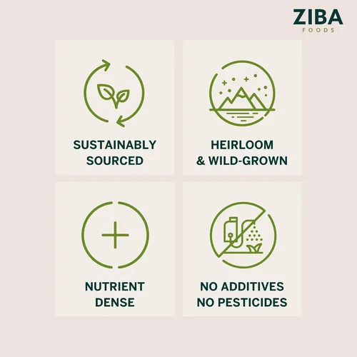 Miniatura 9 de Ziba Foods Semillas de Albaricoque Dulce Cultivadas en la Selva Sin OMG, Vegano, Apto para Whole 30 y Keto, Paleo, Tostadas en Seco Supersemillas