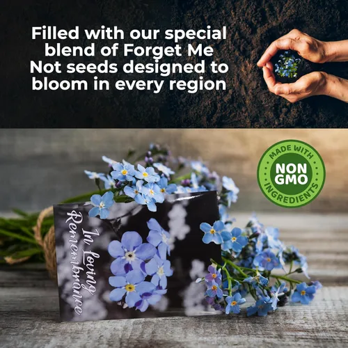 Miniatura 4 de 50 paquetes de semillas premium prellenadas de Forget Me Not de calidad superior para recuerdos de funerales, decoraciones para funerales