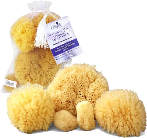 Paquete múltiple de esponjas de mar naturales reales – Juego de regalo de spa de 5 piezas en bolsa de primera calidad, agradable con la piel, para