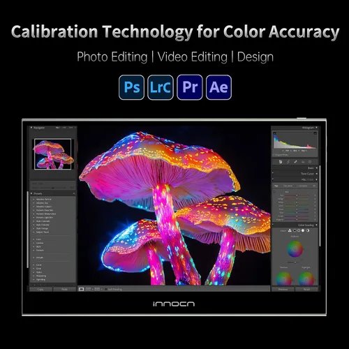 Miniatura 3 de INNOCN Monitor portátil OLED de 15.6 pulgadas, segunda pantalla táctil para edición de fotos con 4K, 100% DCI-P3, 100000:1, 10 bits, monitor externo