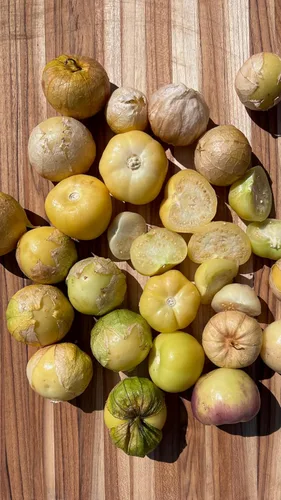 Miniatura 4 de Plant Good Seed Semillas de tomatillo orgánico Toma Verde – Paquete de 50, semillas tradicionales para plantar verduras – Suministros de jardinería