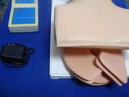 Miniatura 2 de Modelo médico profesional IT-075 del humano de la tráquea de la boca de la anatomía nuevo ANGELUS